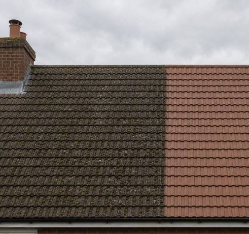 Roof half cleaned, half untouched