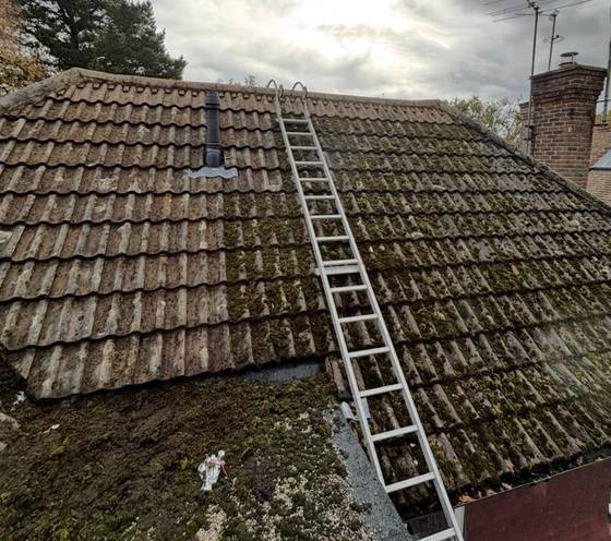 Ladder access set up for roof moss removal