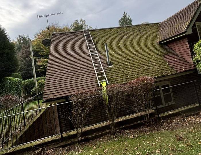 Roof covered in moss before cleaning