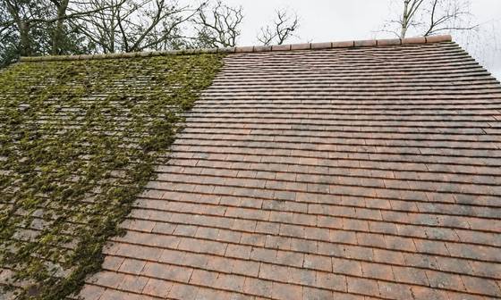 A red tiled roof half cleaned showing the difference