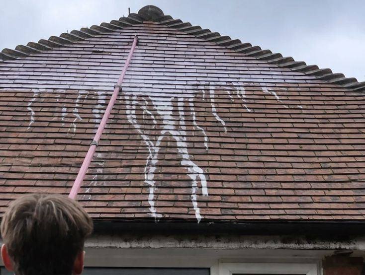 Biocide treatment being applied to a cleaned roof