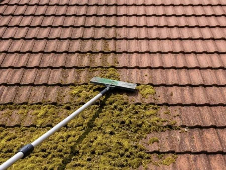 Moss being brushed off roof tiles during a roof clean