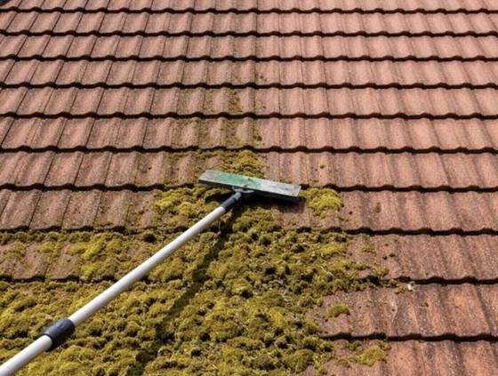 Moss being brushed off roof tiles