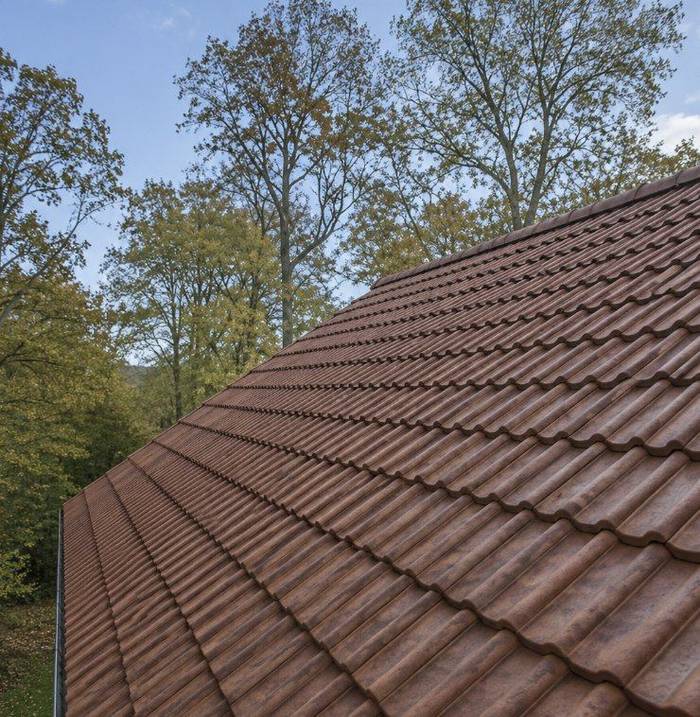 Roof tiles clear of moss after removal and treatment