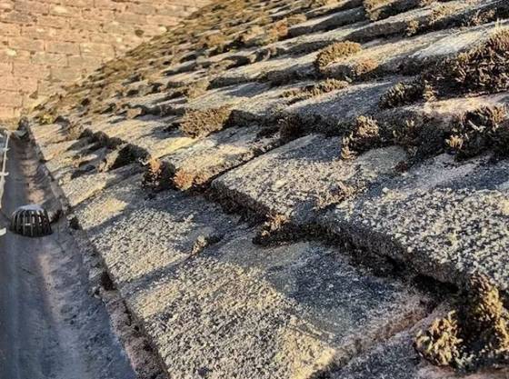 A stone roof partly cleaned