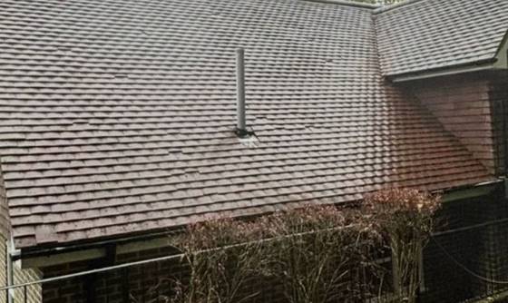 A tiled roof after professional cleaning and treatment