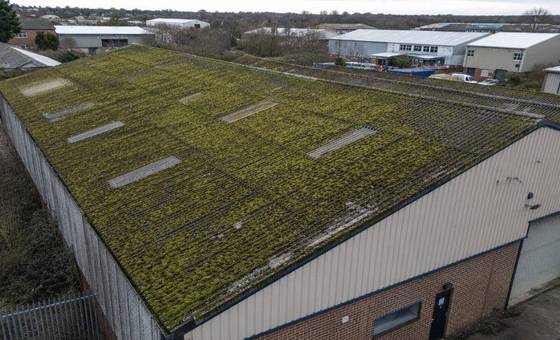 A warehouse roof during moss removal